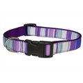 Sassy Dog Wear Sassy Dog Wear STRIPE-PURPLE-MULTI3-C Stripe Dog Collar; Purple - Medium STRIPE-PURPLE/MULTI3-C